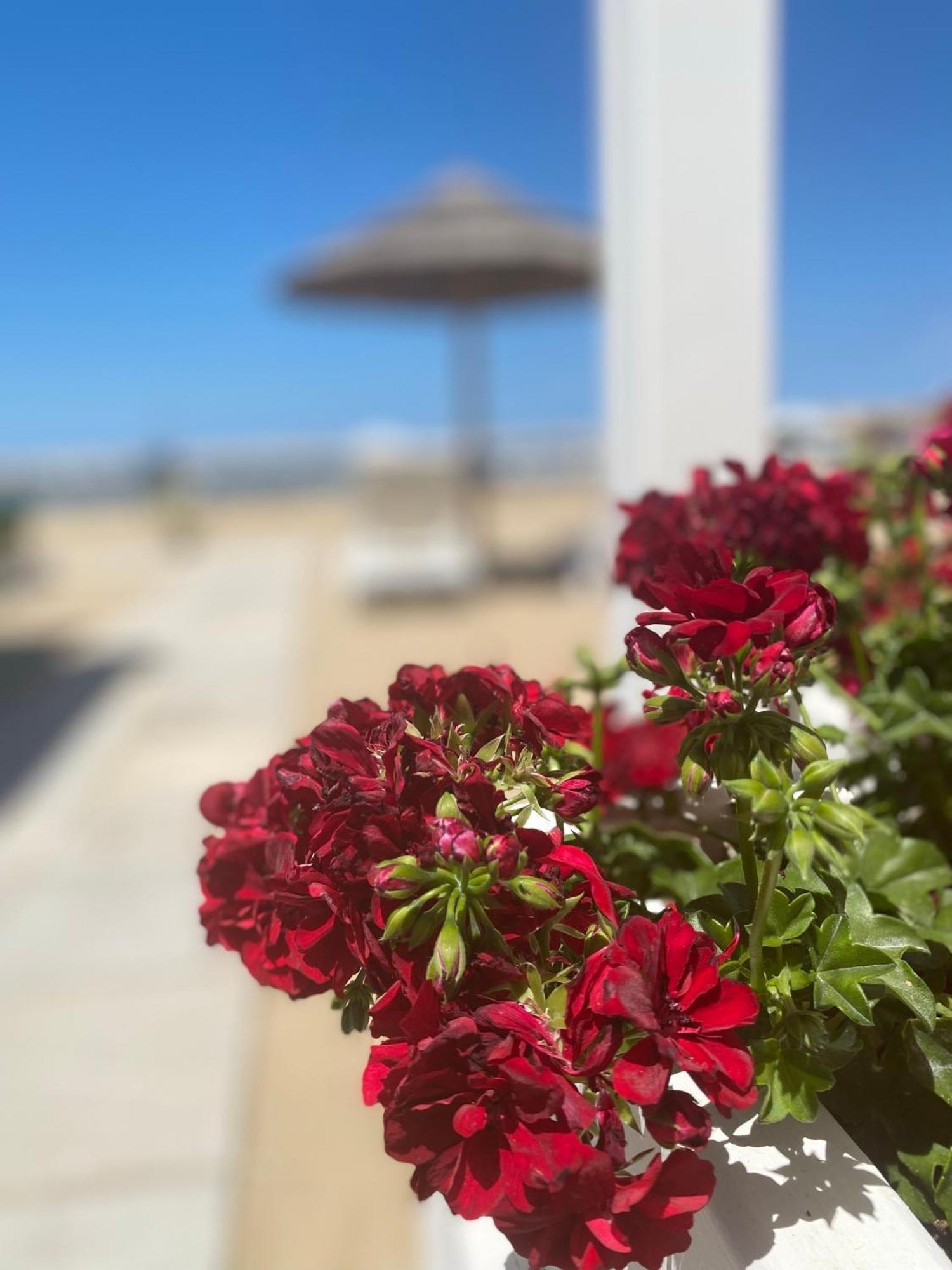Marina Bay Beach Hotel بيسْكيتْشّي المظهر الخارجي الصورة